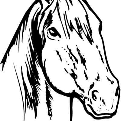 HORSE011 Thumbnail