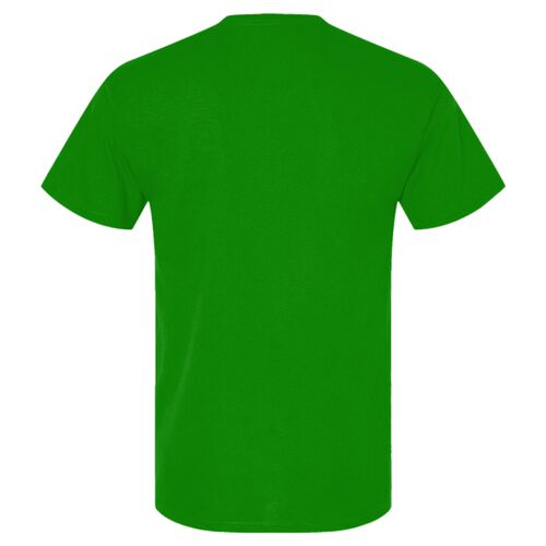 Adult 5.4 oz., 100% Cotton T-Shirt Thumbnail