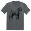 The Concert Tee ® Thumbnail