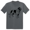 The Concert Tee ® Thumbnail
