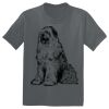 The Concert Tee ® Thumbnail