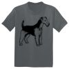 The Concert Tee ® Thumbnail