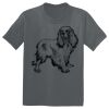 The Concert Tee ® Thumbnail