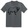 The Concert Tee ® Thumbnail