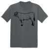 The Concert Tee ® Thumbnail