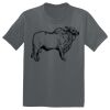 The Concert Tee ® Thumbnail