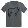 The Concert Tee ® Thumbnail