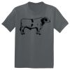 The Concert Tee ® Thumbnail
