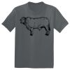 The Concert Tee ® Thumbnail