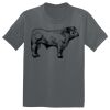 The Concert Tee ® Thumbnail