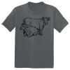 The Concert Tee ® Thumbnail