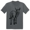 The Concert Tee ® Thumbnail