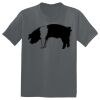The Concert Tee ® Thumbnail