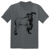 The Concert Tee ® Thumbnail