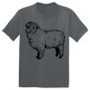 The Concert Tee ® Thumbnail