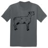 The Concert Tee ® Thumbnail