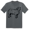 The Concert Tee ® Thumbnail