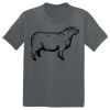 The Concert Tee ® Thumbnail