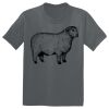 The Concert Tee ® Thumbnail