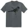 The Concert Tee ® Thumbnail
