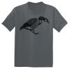 The Concert Tee ® Thumbnail