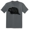 The Concert Tee ® Thumbnail