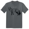 The Concert Tee ® Thumbnail