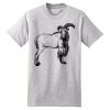 Beefy T ® 100% Cotton T Shirt Thumbnail