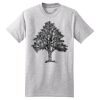 Beefy T ® 100% Cotton T Shirt Thumbnail
