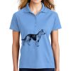 Ladies Dri Mesh ® Pro Polo Thumbnail