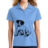 Ladies Dri Mesh ® Pro Polo Thumbnail
