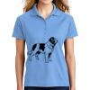 Ladies Dri Mesh ® Pro Polo Thumbnail
