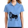 Ladies Dri Mesh ® Pro Polo Thumbnail