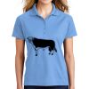 Ladies Dri Mesh ® Pro Polo Thumbnail