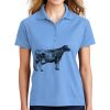 Ladies Dri Mesh ® Pro Polo Thumbnail