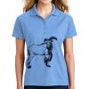 Ladies Dri Mesh ® Pro Polo Thumbnail