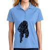 Ladies Dri Mesh ® Pro Polo Thumbnail