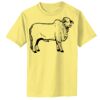 Infant Core Cotton Tee Thumbnail