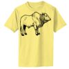 Infant Core Cotton Tee Thumbnail