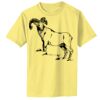 Infant Core Cotton Tee Thumbnail