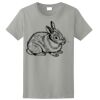 Ladies Ultra Cotton ® 100% Cotton T Shirt Thumbnail