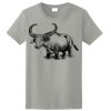 Ladies Ultra Cotton ® 100% Cotton T Shirt Thumbnail