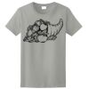 Ladies Ultra Cotton ® 100% Cotton T Shirt Thumbnail