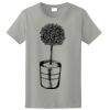 Ladies Ultra Cotton ® 100% Cotton T Shirt Thumbnail