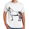 DryBlend ® 50 Cotton/50 Poly T Shirt Thumbnail