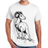 DryBlend ® 50 Cotton/50 Poly T Shirt Thumbnail