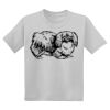 Youth DryBlend ® 50 Cotton/50 Poly T Shirt Thumbnail