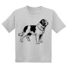 Youth DryBlend ® 50 Cotton/50 Poly T Shirt Thumbnail