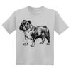 Youth DryBlend ® 50 Cotton/50 Poly T Shirt Thumbnail