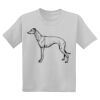 Youth DryBlend ® 50 Cotton/50 Poly T Shirt Thumbnail